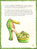 Claudia Lynch ShoeStories - Salsa Shoe